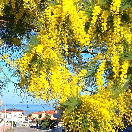 Il Canto Del Mare Castelsardo Εξωτερικό φωτογραφία